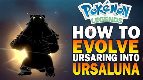 How To Evolve Urasring Into Ursaluna Pokemon Legends Arceus Youtube