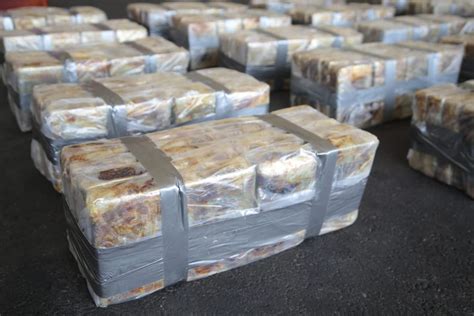 Policías decomisan 500 kilos de cocaína que iban para Europa La Nación