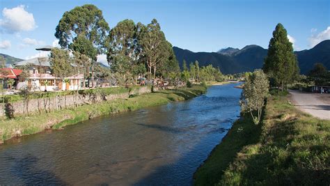 Proyecto Oxapampa Unir Fuerzas Para La Conservaci N De Bosques Per