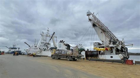 Malvinas Otorga Nuevas Licencias De Pesca Para 25 Años A Las Firmas Con