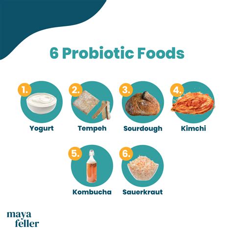 We Are Pro Probiotics And Why People Ready To Strengthen Their Gut