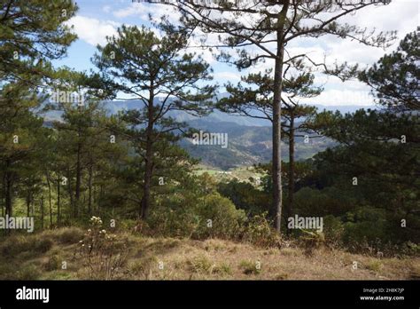 Cordillera Mountain Range in Luzon Island, Philippines Stock Photo - Alamy