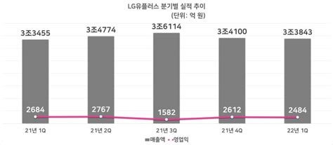 Lg유플러스 2분기 영업익 2484억“일회성 인건비 증가 영향” 2022 2q 실적