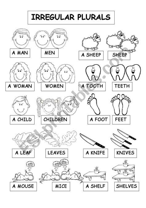 Irregular Plurals Esl Worksheet By Fabiola Salinas