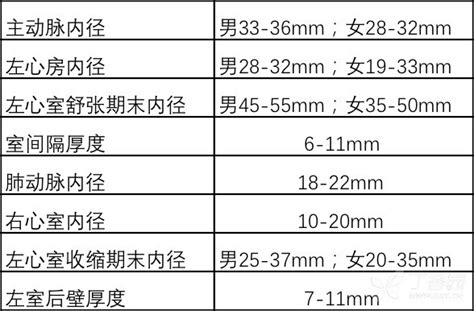 手把手教你解读超声心动图报告单 丁香园