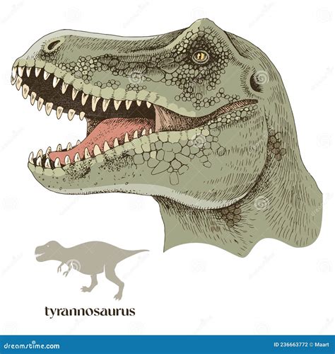 Agressive Tyrannosaurus Rex Or T Rex Scientifc And Realistic