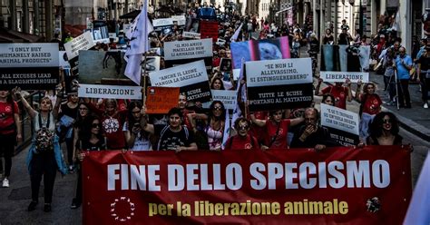 La Confidenza Lenta Fine Dello Specismo Azione Mondiale A Firenze