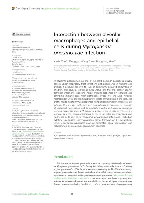 Pdf Interaction Between Alveolar Macrophages And Epithelial Cells