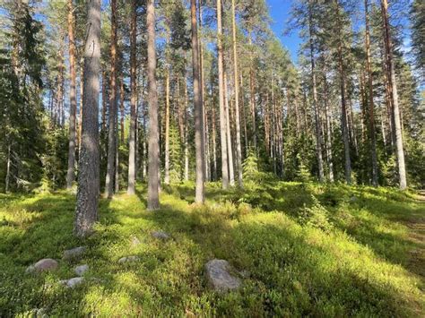 Munkebol 1 18 gård skog till salu Hemnet