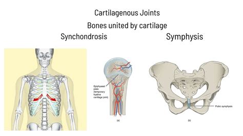 Types of Joints: Short Topic Video - YouTube