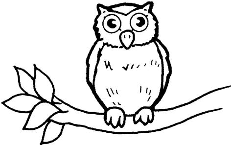 Outline Drawing Of Owl At Getdrawings Free Download