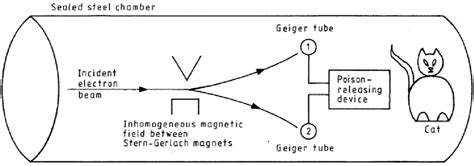 Schematic Representation Of Schrödinger S Cat Thought Experiment Download Scientific Diagram