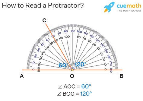 Protractor in Math - Definition, How to Use a Protractor, FAQs