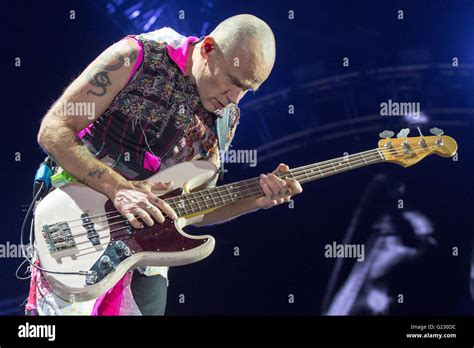Red Hot Chili Peppers Bassist Flea Hi Res Stock Photography And Images Alamy