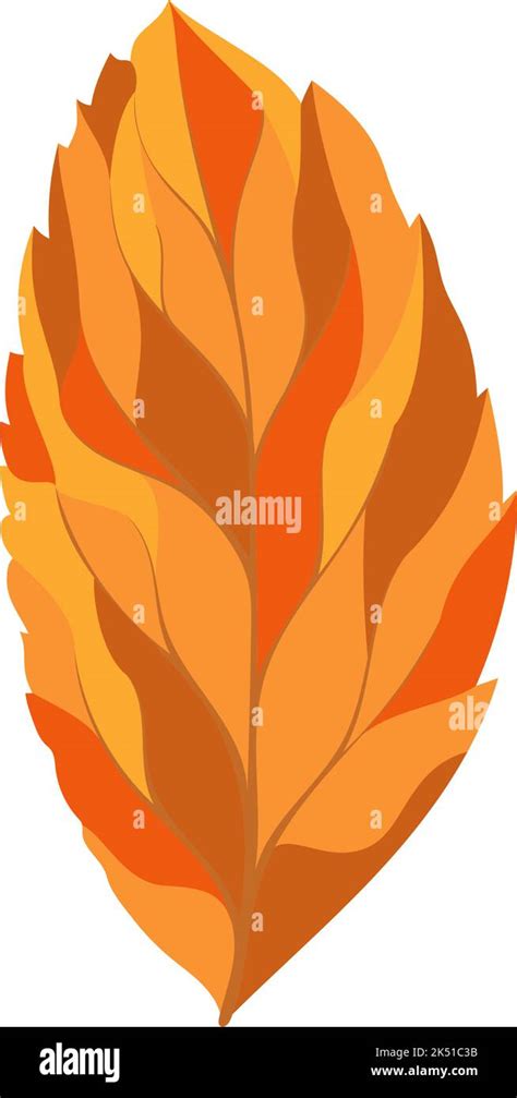 Autumn Ash Tree Leaf Leaf Fall Vector Illustration Stock Vector Image And Art Alamy