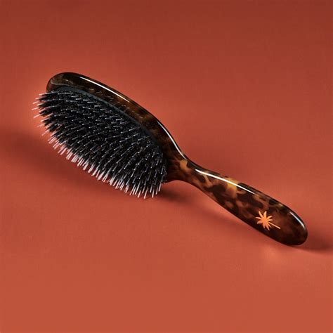 Fan Palm Hair Brush Medium Turtle