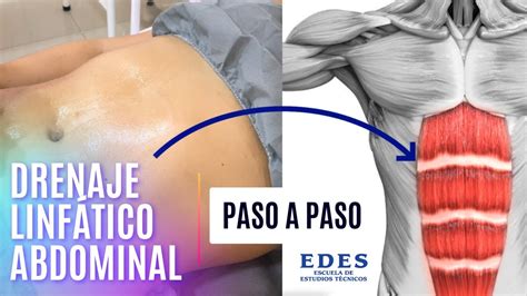 Cómo Hacer un DRENAJE LINFÁTICO ABDOMINAL Paso a Paso