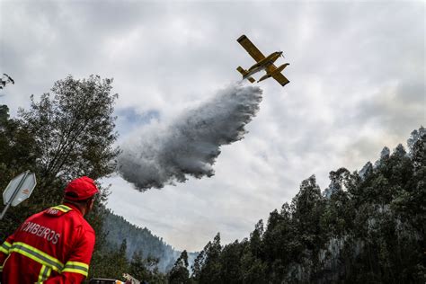 Vis O Seis Meios A Reos Combatem Fogo No Parque Natural Em Porto De M S