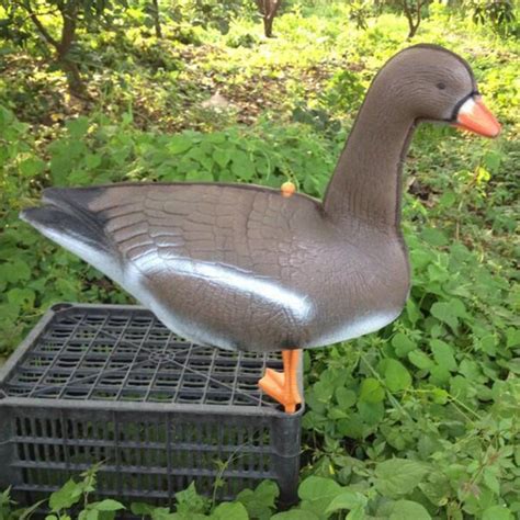 гусей для охоты,3D комплект 10шт - купить с доставкой по выгодным ценам ...