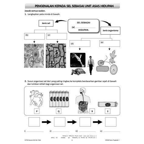 Latihan Sains Tingkatan 3 Bab 1 Pdf Sains Tingkatan 3 Bab 8 3 Dan 8 4 Worksheet Maudie Dibbert