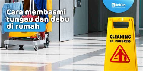 Cara Membasmi Tungau Dan Debu Di Rumah Klinklin
