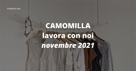 Camomilla Lavora Con Noi Posizioni Aperte A Novembre 2021