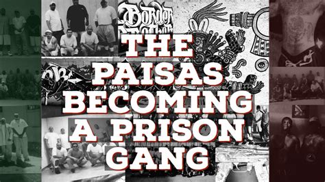 The Paisas Power And Numbersthe Next Prison Gang Trending