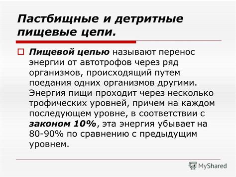 Презентация на тему: "Пастбищные и детритные пищевые цепи. Пищевой ...
