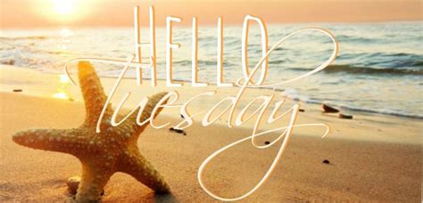 Happy Tuesday Coastal Lovers ~ Hello Tuesday Happy Tuesday Happy