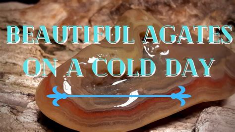 Beautiful Agates On A Cold Day Rockhounding Louisiana Youtube