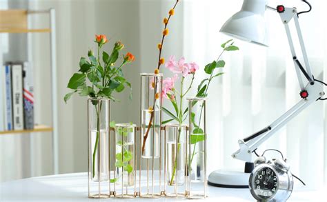 Amazon de Reagenzglasvase für Blumen Set von 5 Glasvase mit