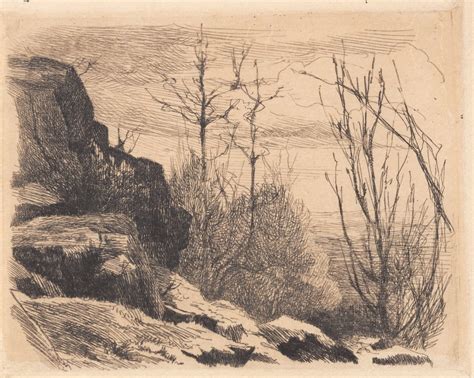 Sample Plate Landscape With Rocks And Trees