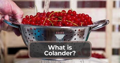 What is Colander? Get To Know More About Colander