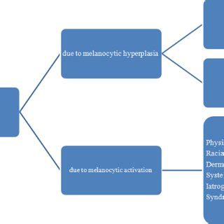 Causes of melanonychia | Download Scientific Diagram