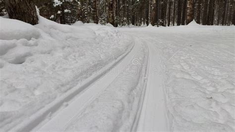 Pista De Esqui Na Neve Na Floresta Num Dia Nublado De Inverno Fundo E