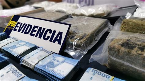 Pdi Decomisó Más De 13 Kilos De Drogas En Ñuble Cooperativacl