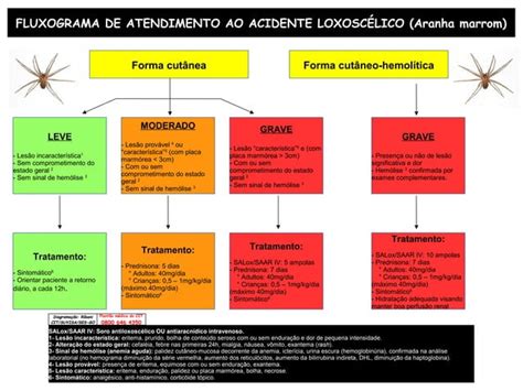 FLUXOGRAMA ATENDIMENTO ANIMAIS PEÇONHENTOS pdf 1 pdf Download Gratuito