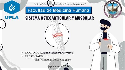 Sistema Osteoarticular Y Muscular Katherine Vilcapoma Udocz