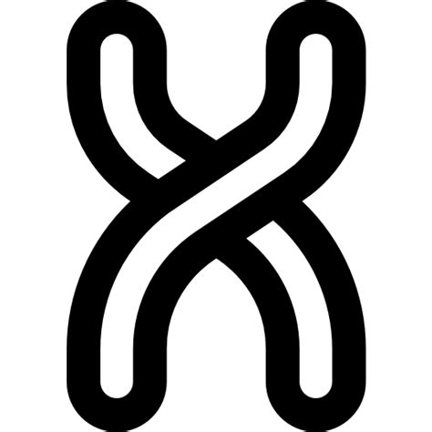 Chromosome Super Basic Rounded Lineal Icon