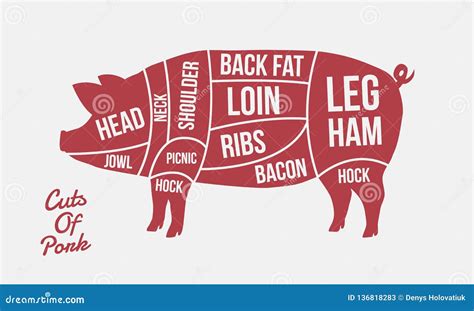 Butcher Diagram Clip Art, Digital Pig Chart, Pork Cuts, 40% OFF