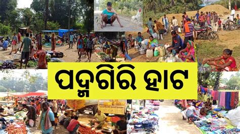 ପଦ୍ମଗିରି ହାଟ Padmagiri Hata Tribal Market Malkangiri Odisha