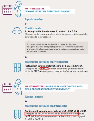 QCM Gynéco Obstétrique Cartes Quizlet