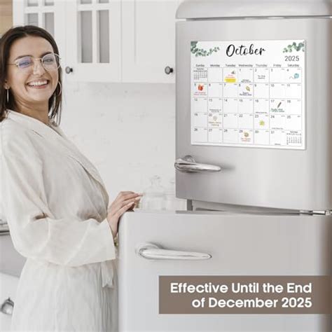 Snapklik Aesthetic Magnetic Calendar For Refrigerator Fridge