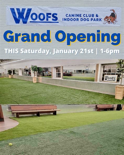 Woofs Indoor Dog Park Is Opening And More Mailbag News Webster On