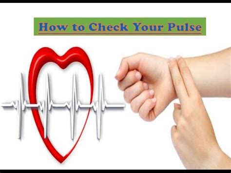 How To Check Your Pulse Rate In Easy Steps Youtube