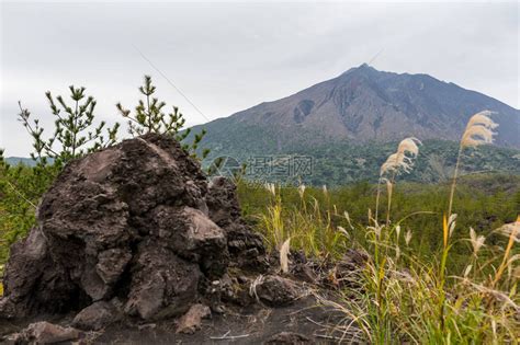 日本樱岛火山观高清图片下载 正版图片507400971 摄图网