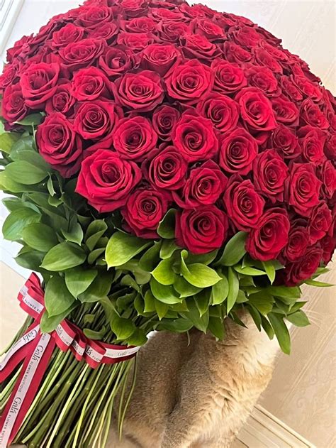 Пин на доске 🌹Love Flowers🩷 | Красные розы, Красивые розы, Розы