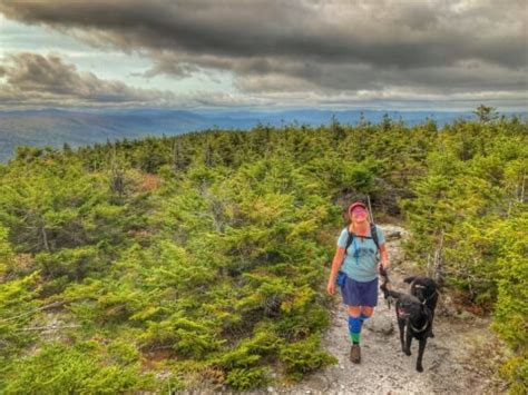 Highlights of the Green Mountain National Forest in Vermont