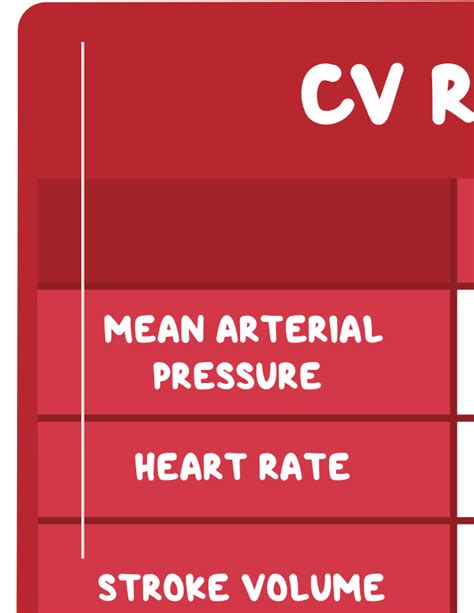 Normal Variations Of The Cardiovascular System Notes Diagrams