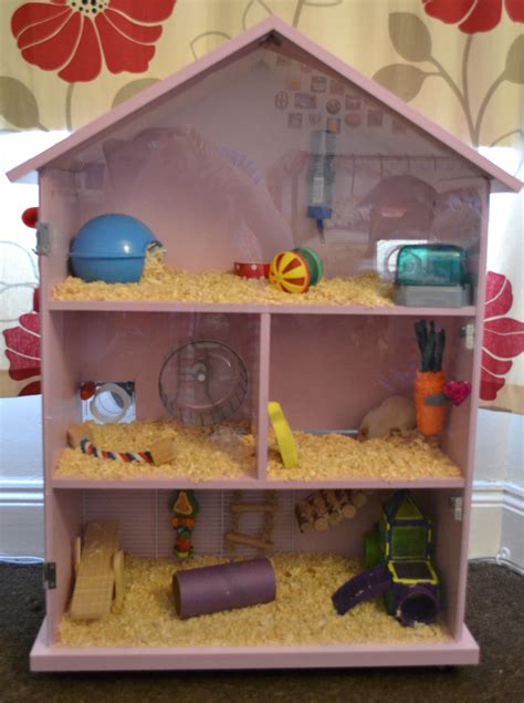 Hamster House Diy